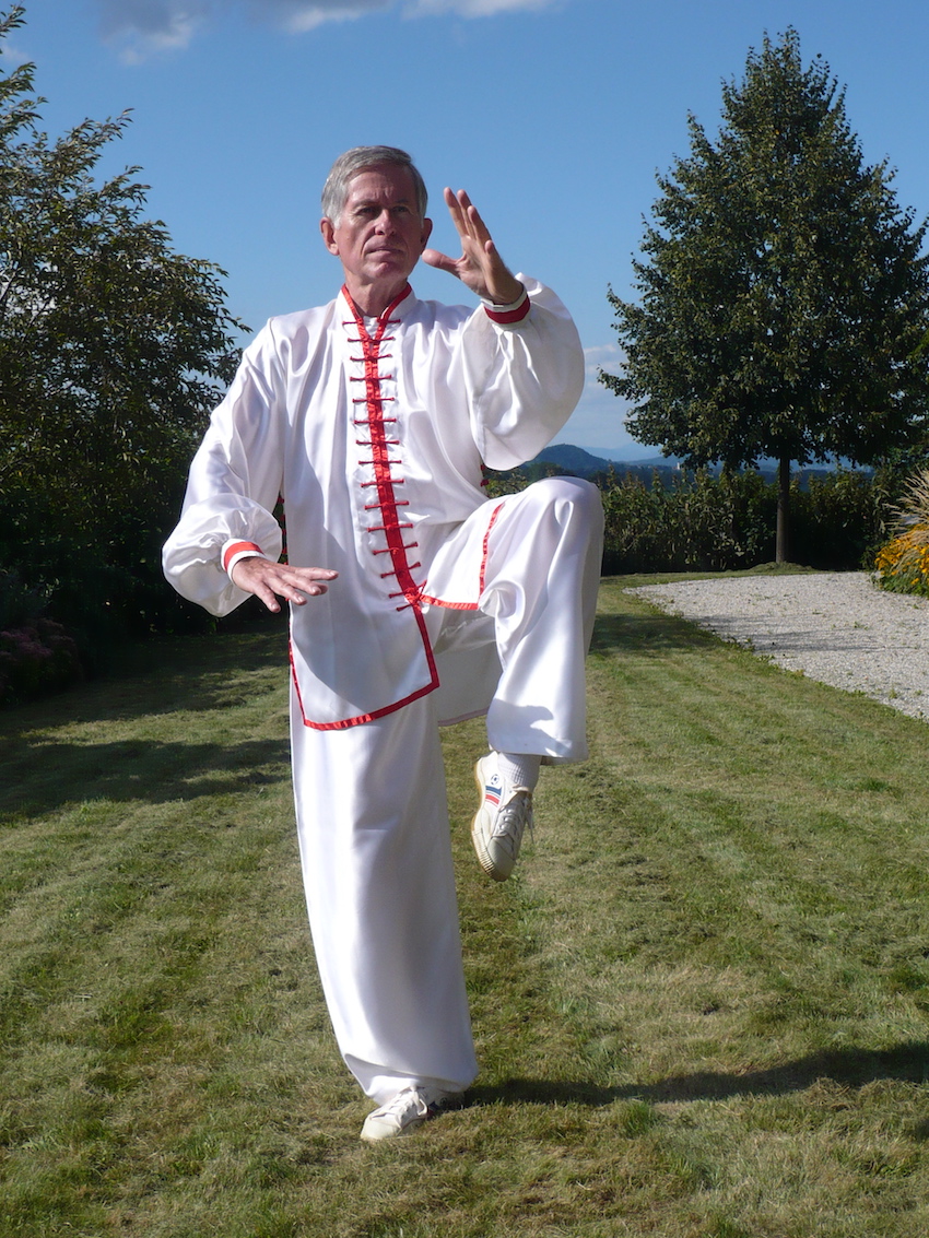Taiji Qigong