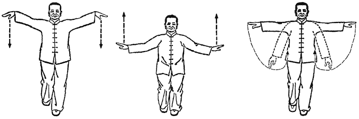 Kranich Qigong (Hexiang Zhuang), Übung IV, aus einem chinesischen Lehrbuch