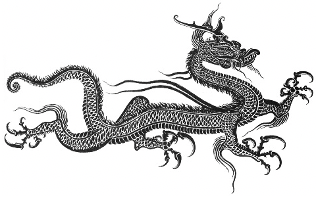 Drache Zeichnung