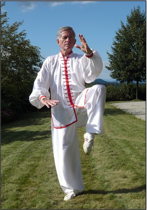 Taiji Qigong