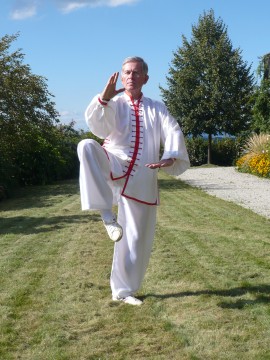 Taiji Qigong