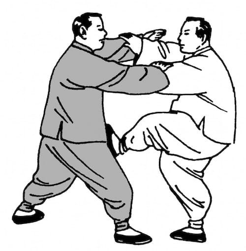 Taiji Sanshou: Kick in der Technik Kranich