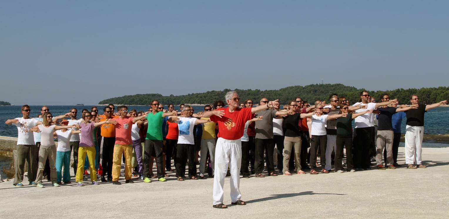 Weiches Qigong, Shaolin White Crane Qigong. Backward Flying, Single Wing.